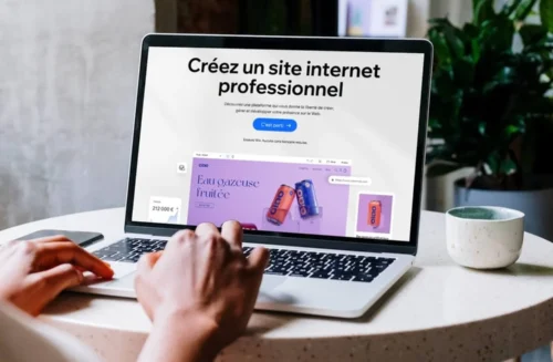 Site web Professionnel