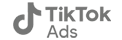 tiktok ads